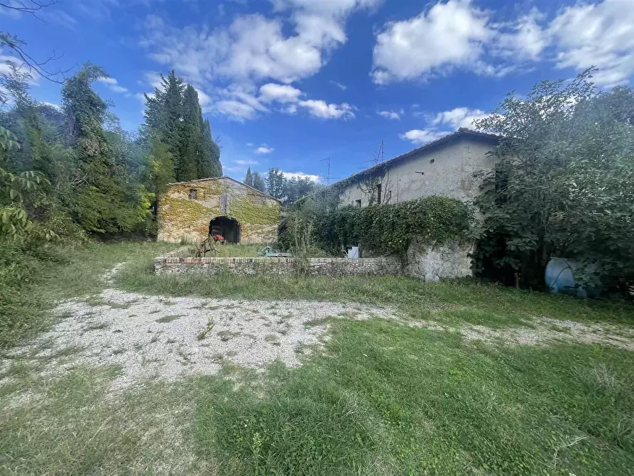 Immagine 1 di Azienda agricola in vendita  a Siena