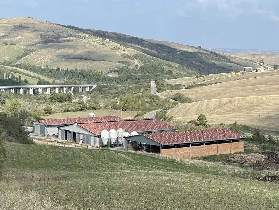Immagine 1 di Azienda agricola in vendita  a Cetona