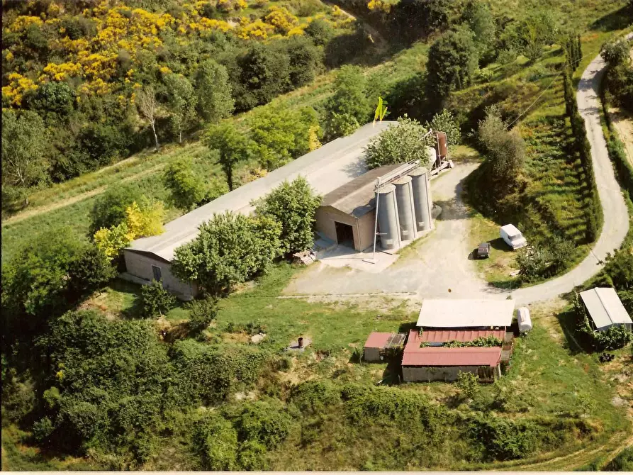 Immagine 1 di Azienda agricola in vendita  a Chiusi