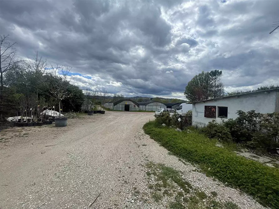 Immagine 1 di Azienda agricola in vendita  a Gubbio