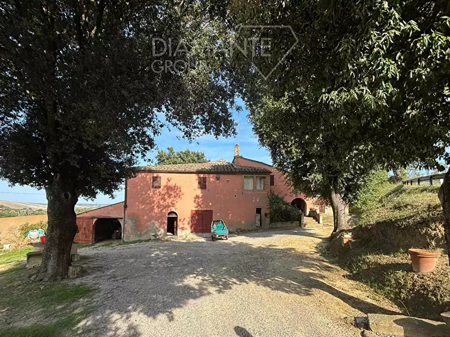 Immagine 1 di Azienda agricola in vendita  a Montalcino