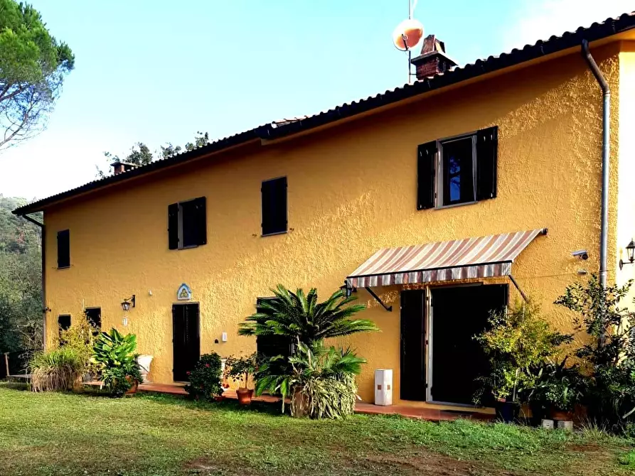 Immagine 1 di Rustico / casale in vendita  a Monsummano Terme