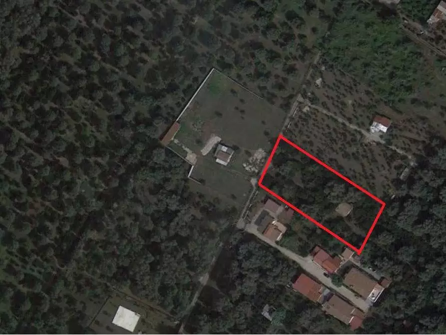 Immagine 1 di Terreno edificabile in vendita  in C.DA OLIVITELLO a Taurianova