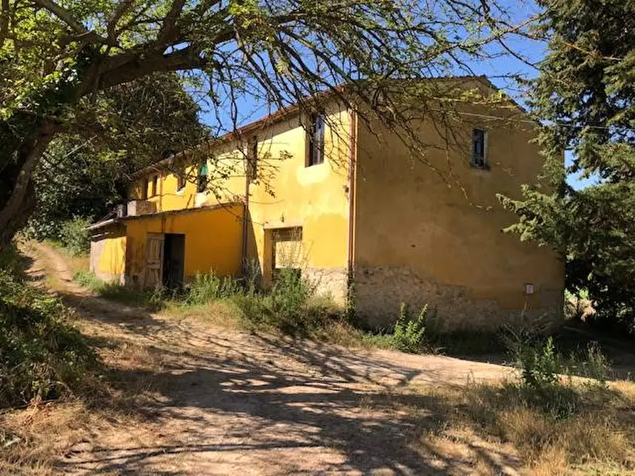 Immagine 1 di Azienda agricola in vendita  a Crespina Lorenzana