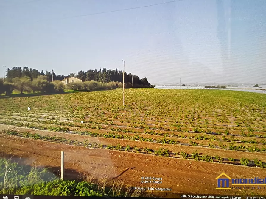 Immagine 1 di Azienda agricola in vendita  in c.da Luparello a Noto