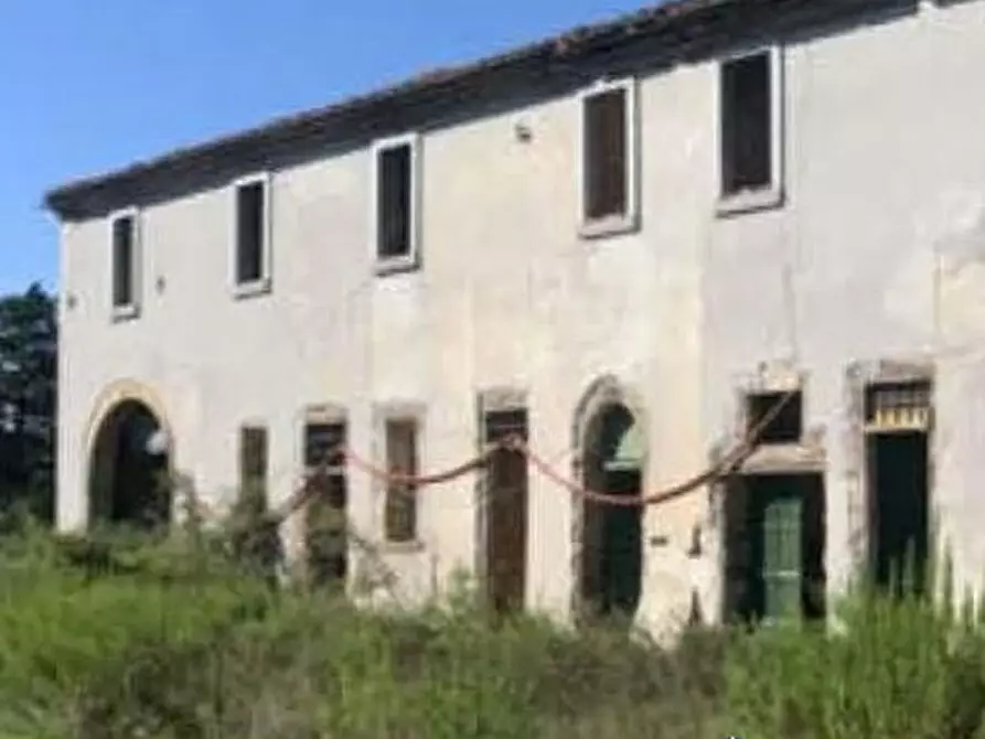 Immagine 1 di Azienda agricola in vendita  in Via Poggio alla Farnia a Fauglia