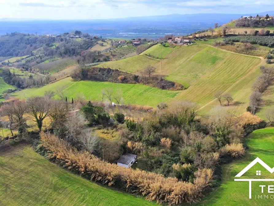 Immagine 1 di Villa in vendita  in Via Grancino a Magliano Sabina