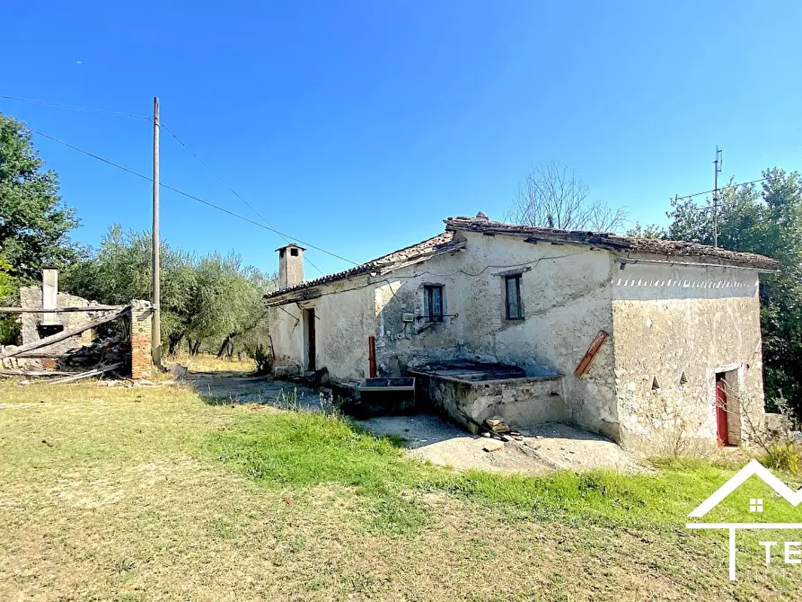 Immagine 1 di Rustico / casale in vendita  in Strada regionale 313 a Torri In Sabina