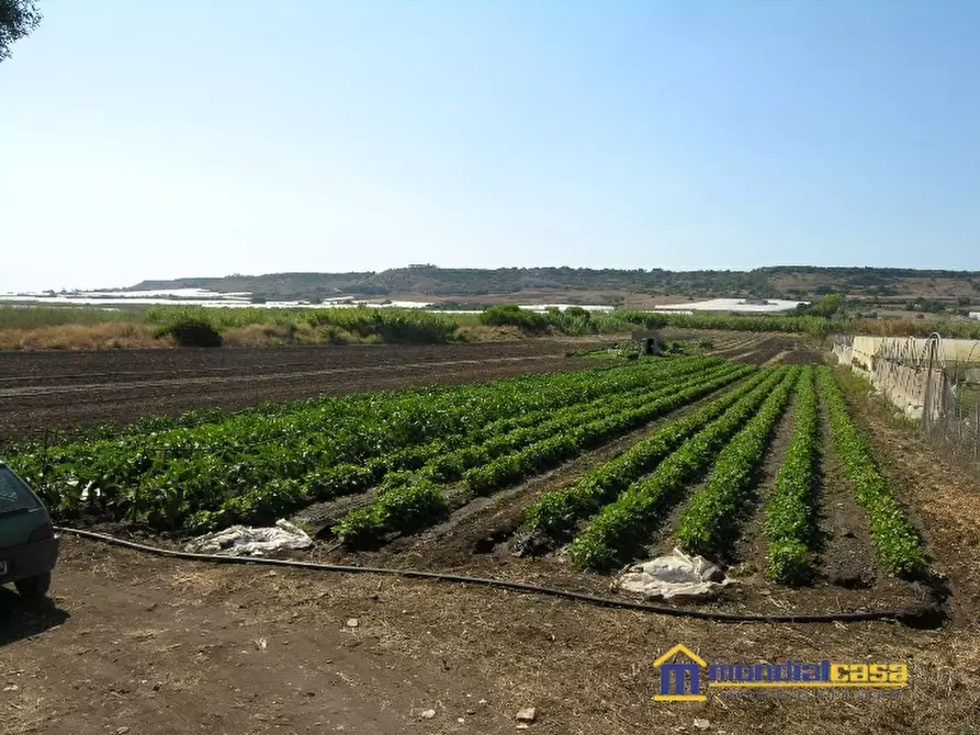Immagine 1 di Azienda agricola in vendita  a Pachino