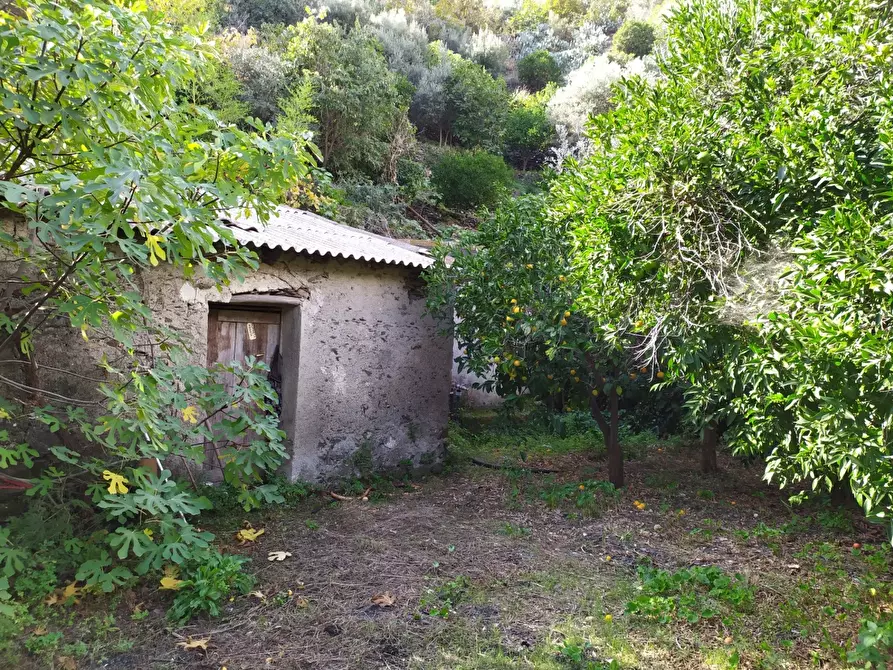 Immagine 1 di Terreno edificabile in vendita  in strada provinciale per Misserio a Santa Teresa Di Riva