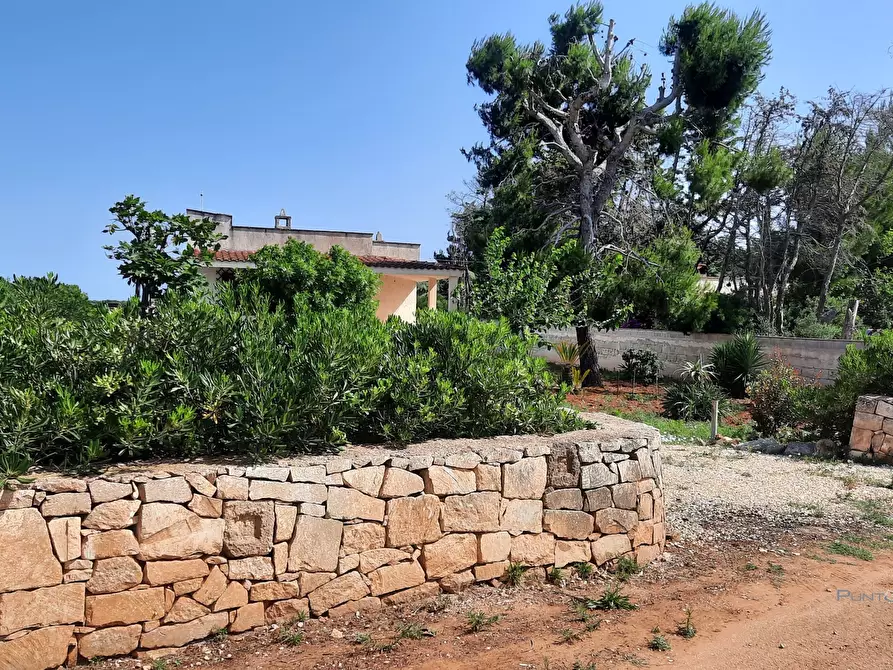 Immagine 1 di Villa in vendita  in contrada scianola a Carovigno