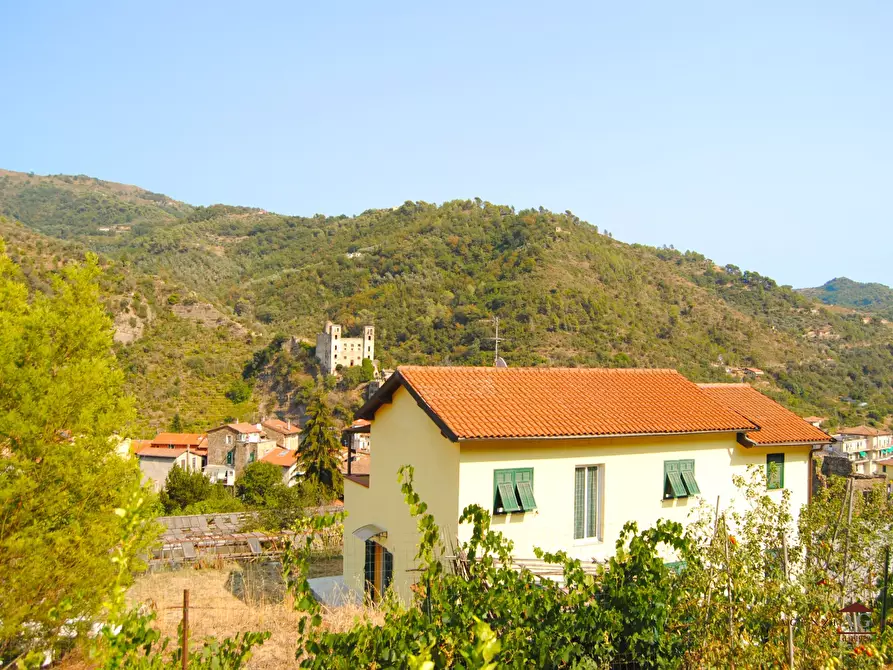 Immagine 1 di Villa in vendita  a Apricale