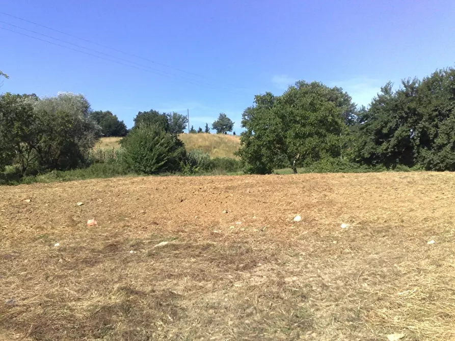 Immagine 1 di Terreno edificabile in vendita  a Castiglion Fibocchi