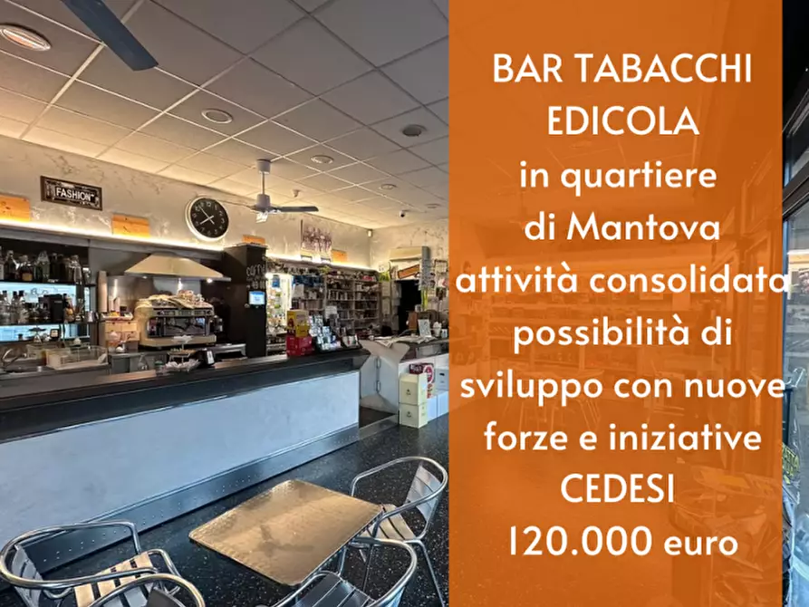 Immagine 1 di Bar / Ristorante in vendita  a Mantova