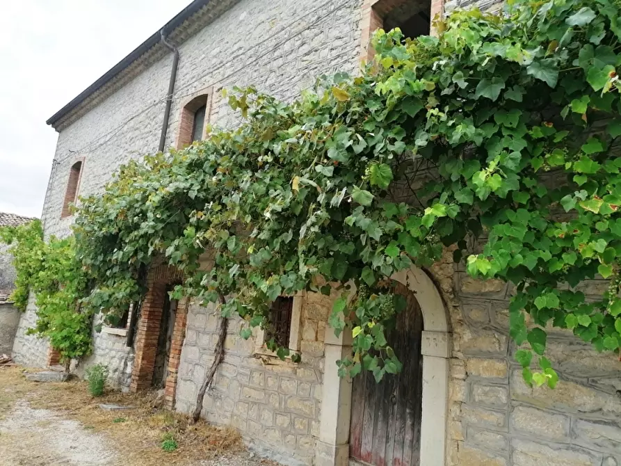 Immagine 1 di Casa indipendente in vendita  a Castelpetroso