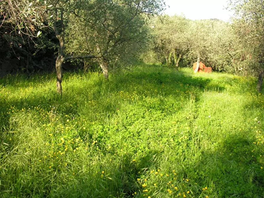 Immagine 1 di Terreno edificabile in vendita  in frazione deglio a Badalucco