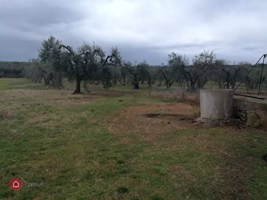 Immagine 1 di Terreno edificabile in vendita  a Gavorrano