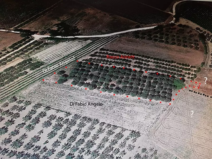 Immagine 1 di Terreno edificabile in vendita  a Vasto