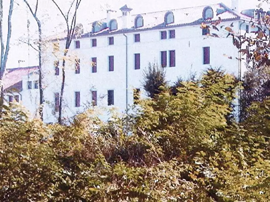 Immagine 1 di Villa in vendita  a Mirano