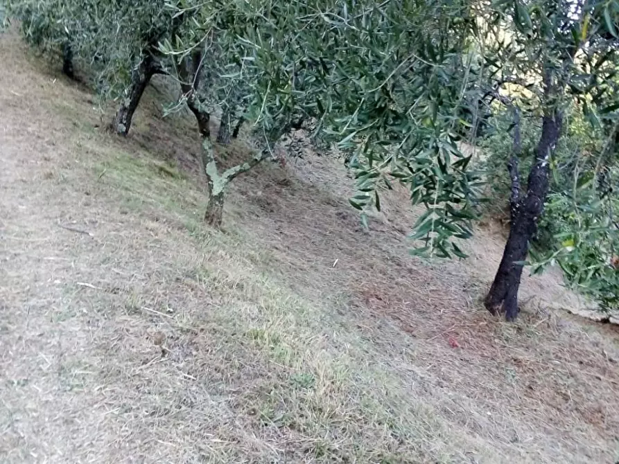 Immagine 1 di Terreno edificabile in vendita  a Serravalle Pistoiese