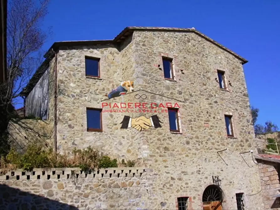 Immagine 1 di Azienda agricola in vendita  a Orvieto
