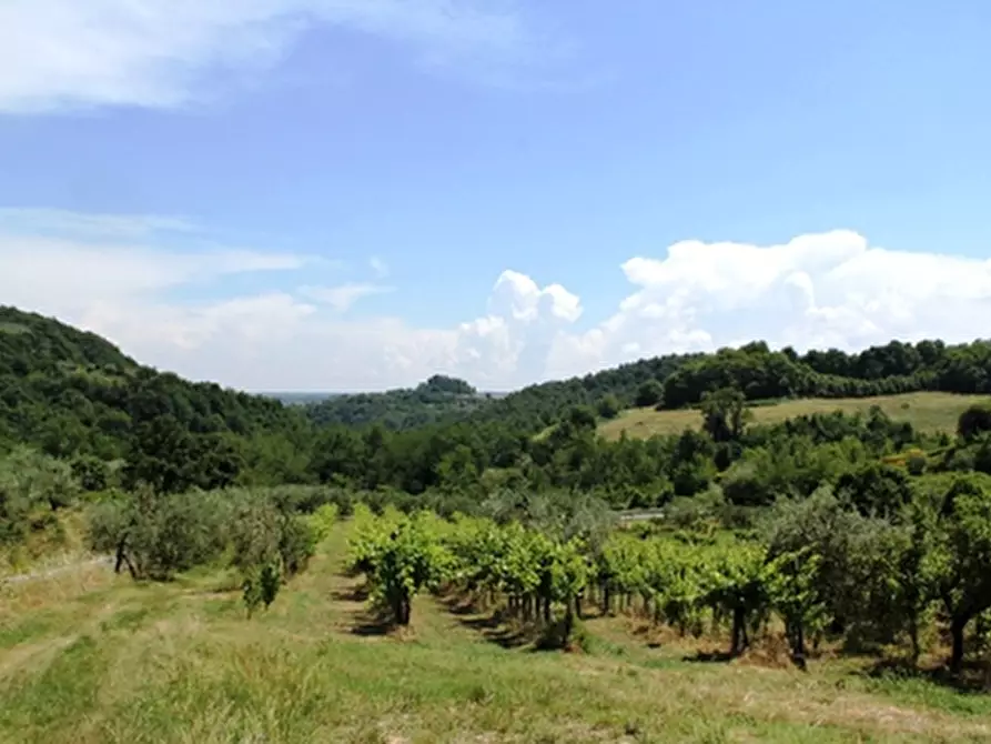Immagine 1 di Terreno edificabile in vendita  a Allerona