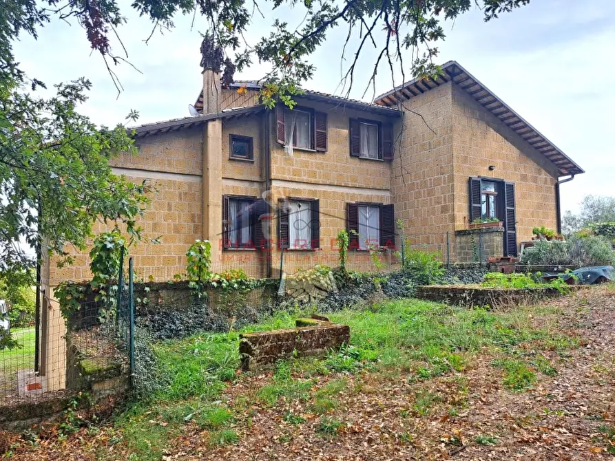 Immagine 1 di Abitazione tipica in affitto  a Montegabbione
