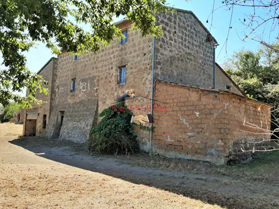 Immagine 1 di Rustico / casale in vendita  a Bomarzo