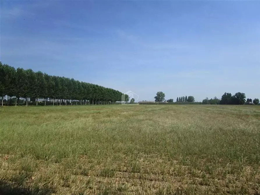 Immagine 1 di Terreno edificabile in vendita  a Luzzara