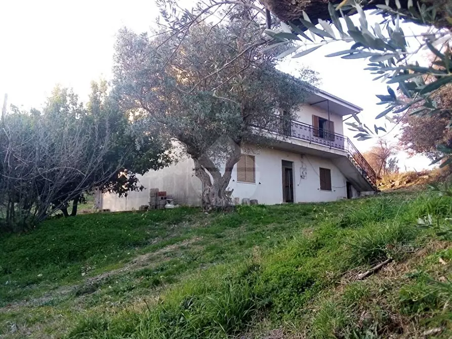 Immagine 1 di Casa indipendente in vendita  in Via Marri a Acquaformosa