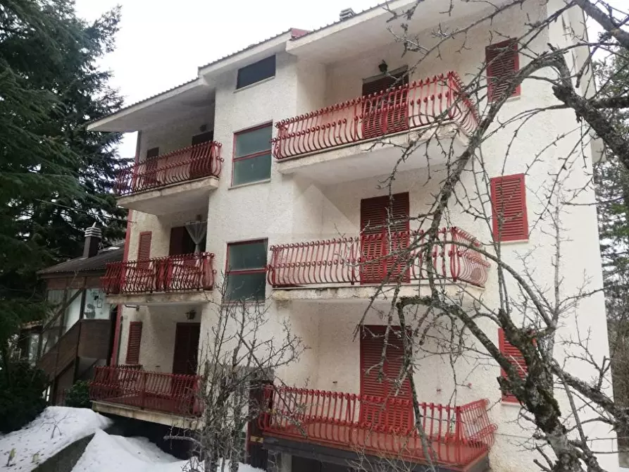 Immagine 1 di Appartamento in vendita  in Via Federici a Spezzano Della Sila