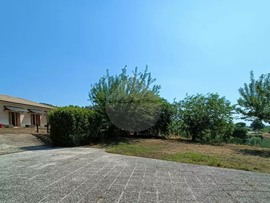 Immagine 1 di Azienda agricola in vendita  in c.da Gaudiosi a Silvi