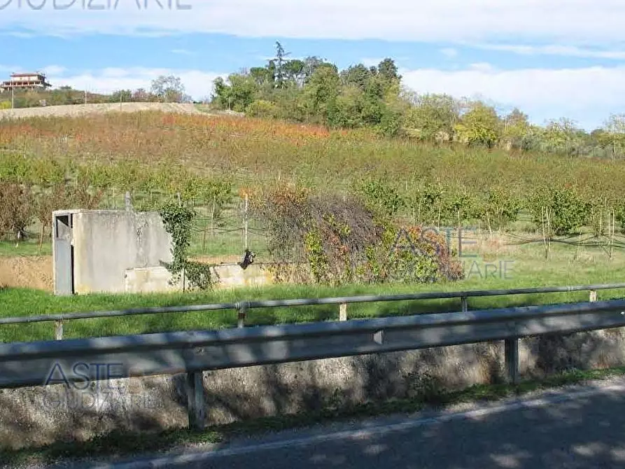 Immagine 1 di Terreno agricolo in vendita  a Cesena