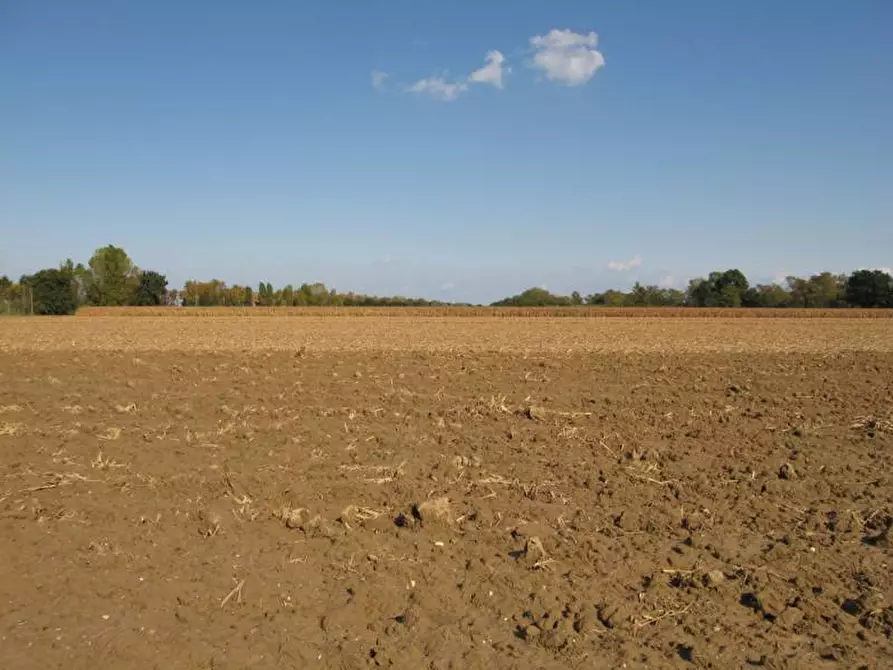 Immagine 1 di Terreno agricolo in vendita  a Falconara Marittima