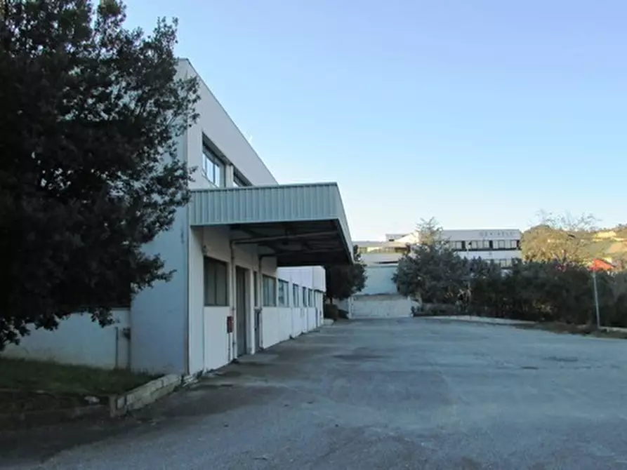 Capannone industriale in affitto in Via Leonardo Da Vinci a San Benedetto Del Tronto