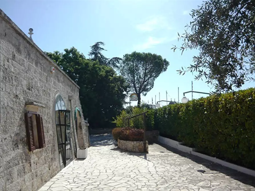 Immagine 14 di Bar / Ristorante in vendita  in C.da Casalini a Locorotondo