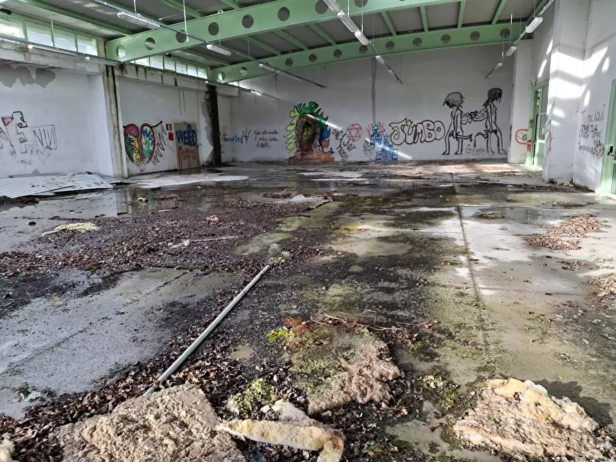 Immagine 6 di Attività artigianale in vendita  in Via Gianbattista Morgagni 7 a Pennabilli