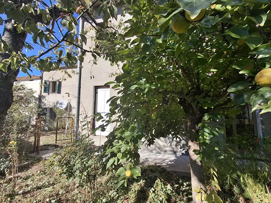 Immagine 6 di Terratetto in vendita  in Via Casalecchio 79 a Novafeltria