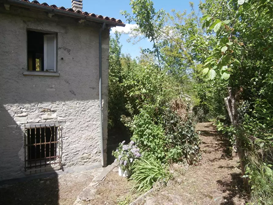 Immagine 36 di Rustico / casale in vendita  in SP258 2 a Pennabilli