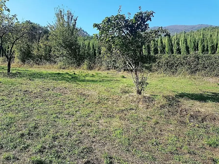 terreno agricolo in vendita a Lucca in zona Querce