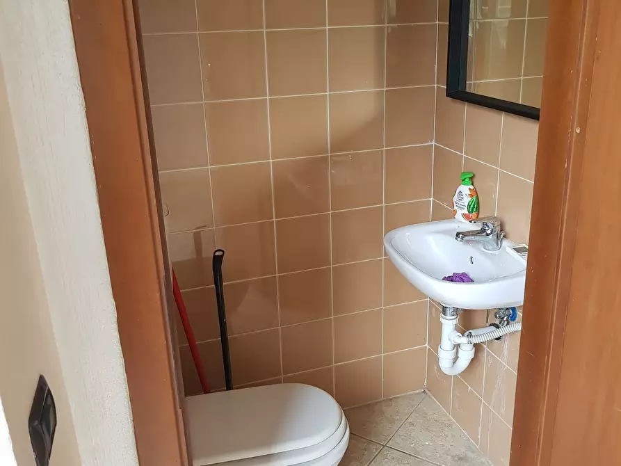 Immagine 2 di Capannone industriale in vendita  in Viale Lazzaro Papi a Lucca