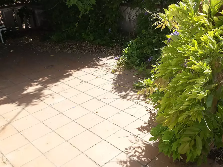 Immagine 11 di Terratetto in vendita  in via di matraia a Lucca