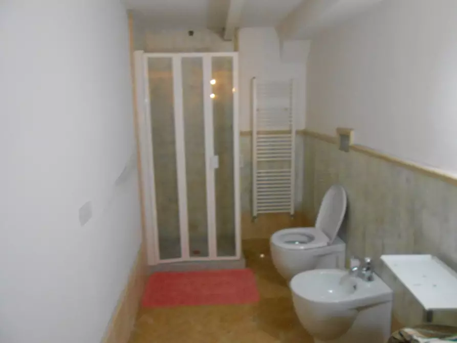 Immagine 38 di Villa in vendita  in Via Francesco Ferraris a Lucca