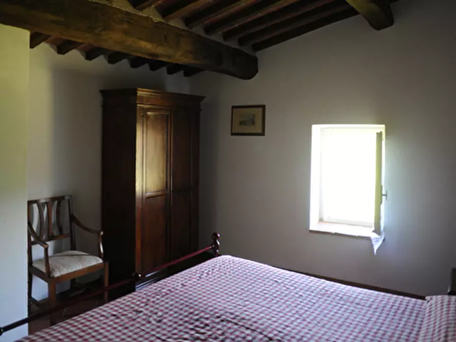 Immagine 62 di Casa vacanze in affitto  in Località Mencone 8 a Pescaglia
