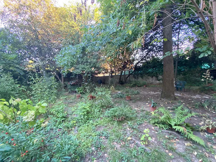 Immagine 10 di Villa in vendita  in Via Borgo Giannotti a Lucca