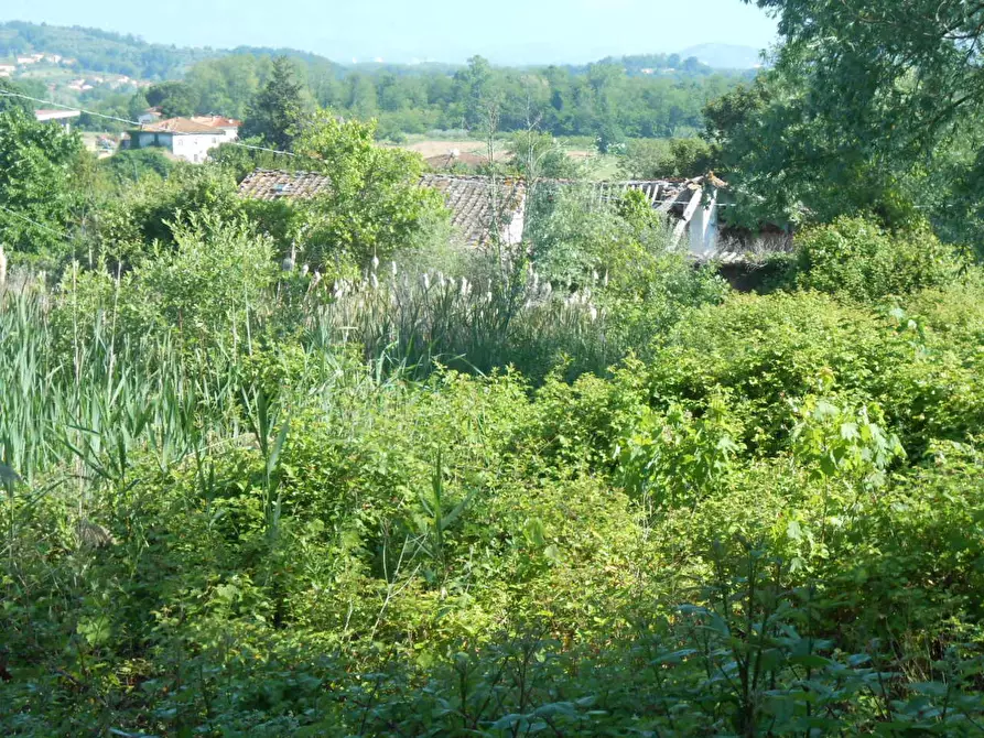 Immagine 38 di Rustico / casale in vendita  in via della pieve a Capannori