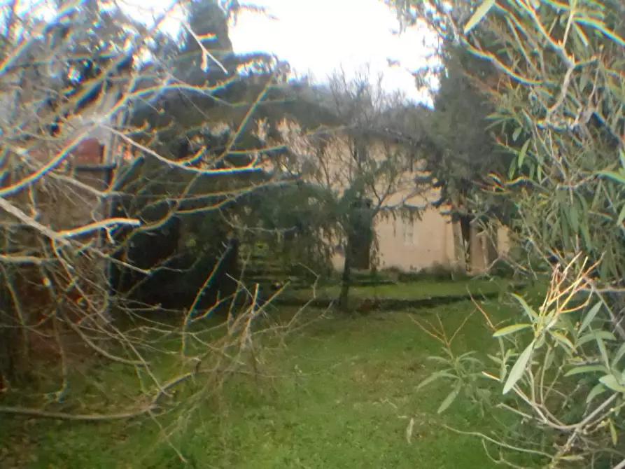 Immagine 5 di Rustico / casale in vendita  in bocconi a Lucca