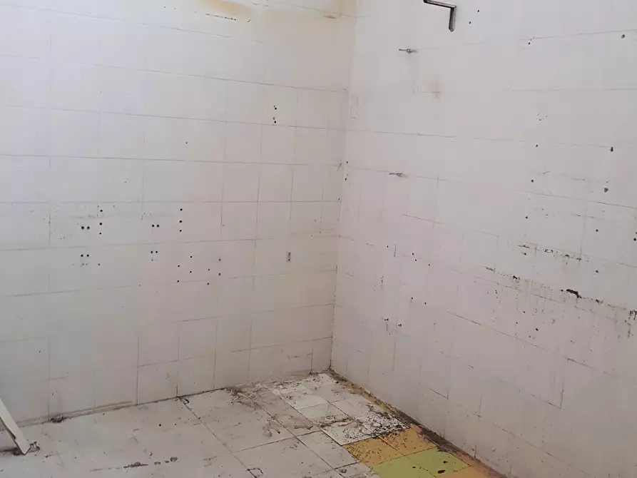 Immagine 3 di Capannone industriale in affitto  in Via della Madonnina a Capannori