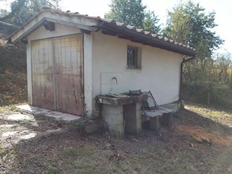 Immagine 18 di Terreno agricolo in vendita  in via di caroggia a Lucca