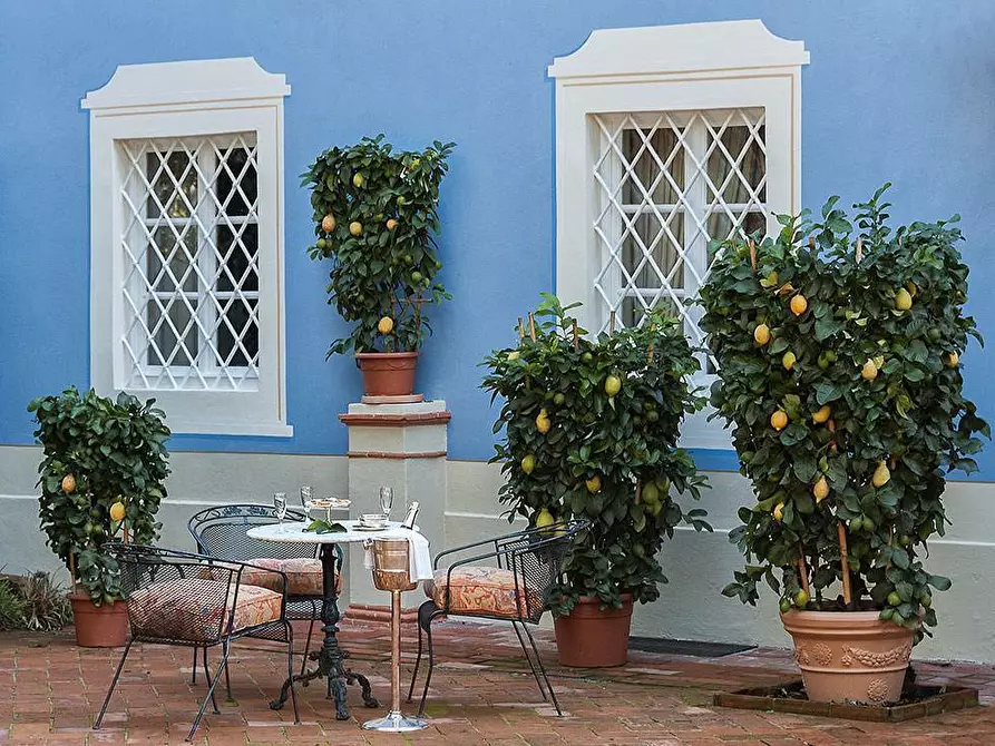 Immagine 2 di Albergo/B&B/Residence in vendita  in Via di Vicopelago e di Pozzuolo a Lucca